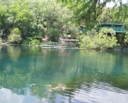 aquarena-springs-13