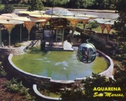 aquarena-springs-7