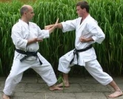 areas-de-ataque-e-defesa-do-karate-2
