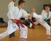 areas-de-ataque-e-defesa-do-karate-3