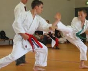 areas-de-ataque-e-defesa-do-karate-3