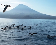 arquipelago-dos-acores-2