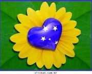 As Leis Mais Importantes do Brasil (6)