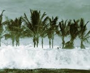avaliacao-dos-danos-do-tsunami-no-hawaii-5