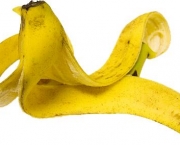 bananas-e-verrugas-1