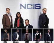 band-nova-temporada-de-ncis-11