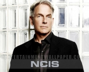 band-nova-temporada-de-ncis-2