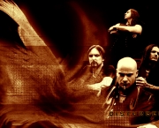 banda-disturbed-14