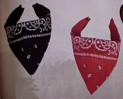 Bandanas 01