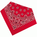 Bandanas 06