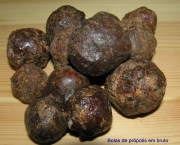 beneficios-de-propolis-para-a-saude-4