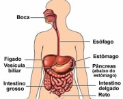 beneficios-de-uma-boa-mastigacao-1