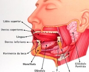 beneficios-de-uma-boa-mastigacao-3