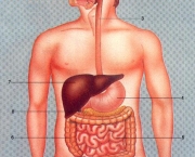 beneficios-de-uma-boa-mastigacao-4