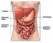 beneficios-de-uma-boa-mastigacao-6