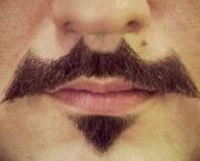 Bigodes Famosos (11).jpg