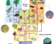 biologia-dos-organismos-2