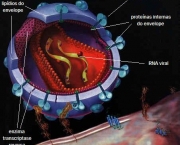 biologia-dos-organismos-6