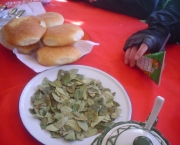 bolivia-apela-em-prol-da-legalizacao-do-consumo-da-folha-de-coca-5