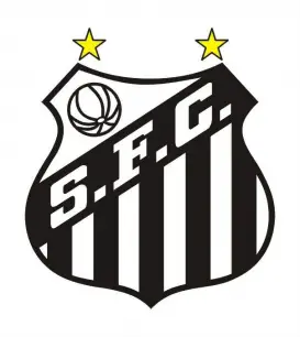 brasileirao-04-9