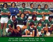 brasileirao-73-1