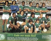 brasileirao-73-11