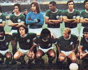 brasileirao-73-3