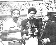 brasileirao-73-5