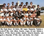 brasileirao-78-14