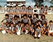 brasileirao-82-4