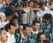 brasileirao-94-13