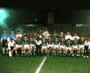 brasileirao-pode-dar-ate-4-vagas-para-a-libertadores-de-2012-13