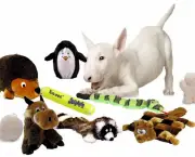 Brinquedos Inteligentes para Cachorros (5)