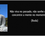 frase-nao-viva-no-passado-nao-sonhe-com-o-futuro-concentre-a-mente-no-momento-presente-buda-138243