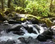 Cachoeira Salto da Fortuna (9)
