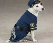 pet-rede-cachorro-policial.jpg