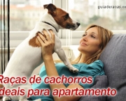 racas-ideais-para-apartamento.jpg