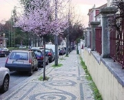 calcada-de-pedra-9