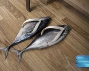 chinelo-peixe.jpg