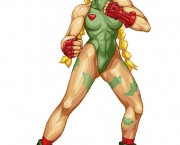 cammy-do-street-fighter-1