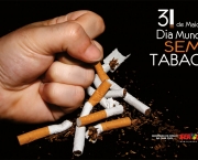 198a76468c3a937ed9db4a4189b7aaa9Diamundialsemtabaco_31deMaio_3.jpg