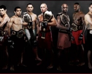 Campeoes Do UFC (1)