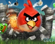 campeonato-brasileiro-de-angry-birds-17