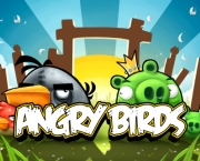 campeonato-brasileiro-de-angry-birds-18
