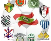 campeonato-catarinense-2011-3