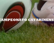 campeonato-catarinense-2011-4
