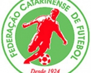 campeonato-catarinense-2011-5