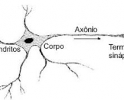 capacidade-de-aprendizado-do-cerebro-2