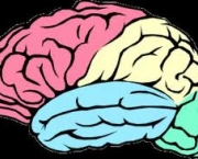 capacidade-de-aprendizado-do-cerebro-5