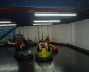 foto-carrinho-bate-bate-13